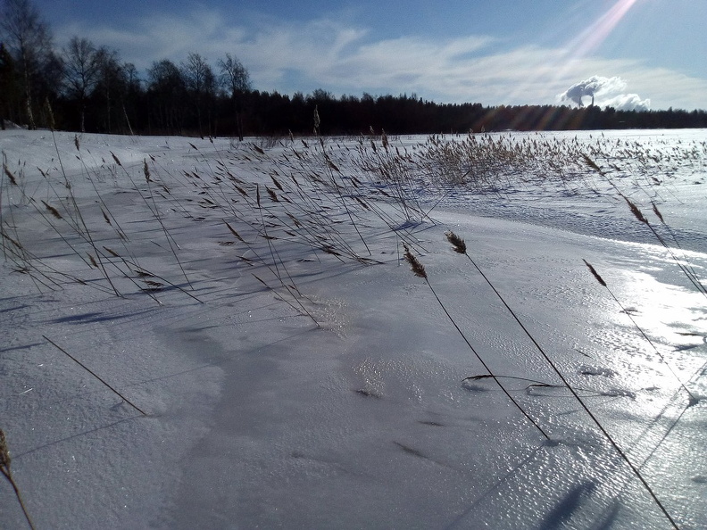 hietasaari_2022.jpg