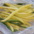 Omia papuja