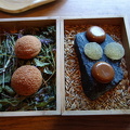 Kajo - Oodi luonnolle menu