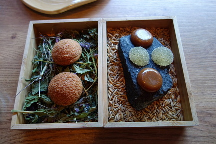 Kajo - Oodi luonnolle menu