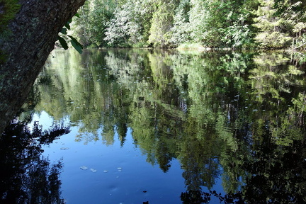 DSC01608