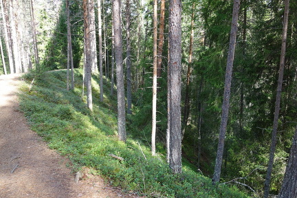 DSC01597