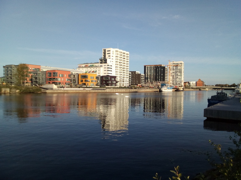 IMG_20230911_180642.jpg