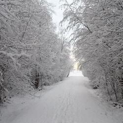 Oulu 2013