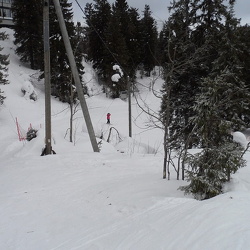 Koli 2019