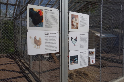 Tampereen Sorsapuisto