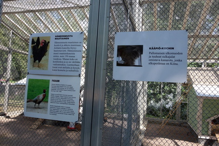 Tampereen Sorsapuisto