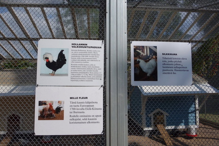 Tampereen Sorsapuisto