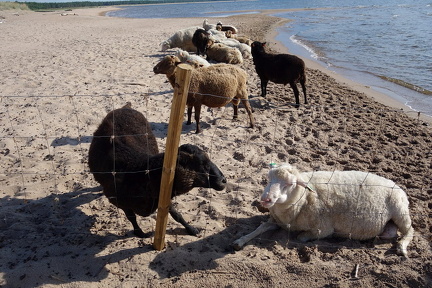 Lahdenkroopin uimaranta