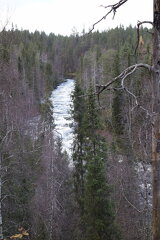Basecamp Oulanka Kuusamo