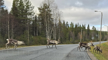Ruka Kuusamo