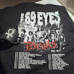 69eyes devils 20 years back