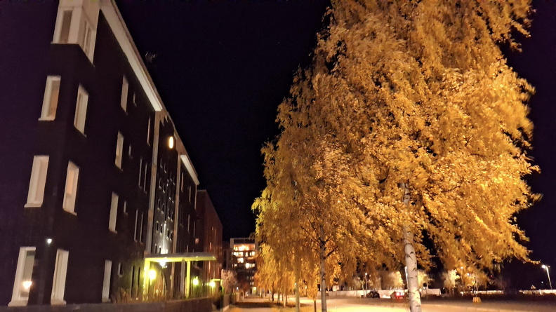 20241023_195549.jpg