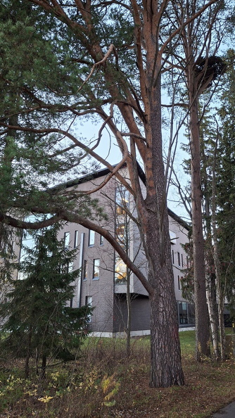 20241023_170219.jpg