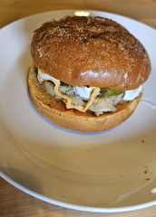 Haukipurilainen hölskykurkuilla