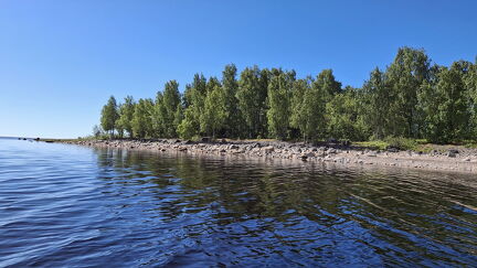 Moffenkalla
